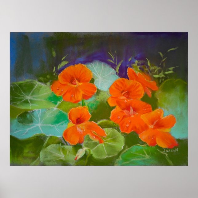 Affiche Nasturtium Bloom - Botanical Pastel (Devant)