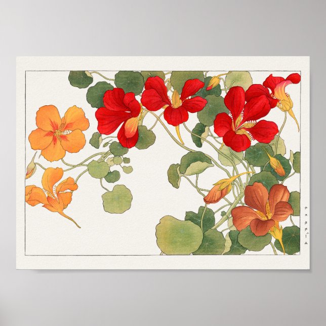 Affiche Nasturtium par Tanigami Konan (Devant)