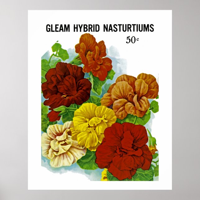 Affiche Nasturtiums (Devant)