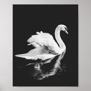 Affiche Natation de Swan noir et blanc