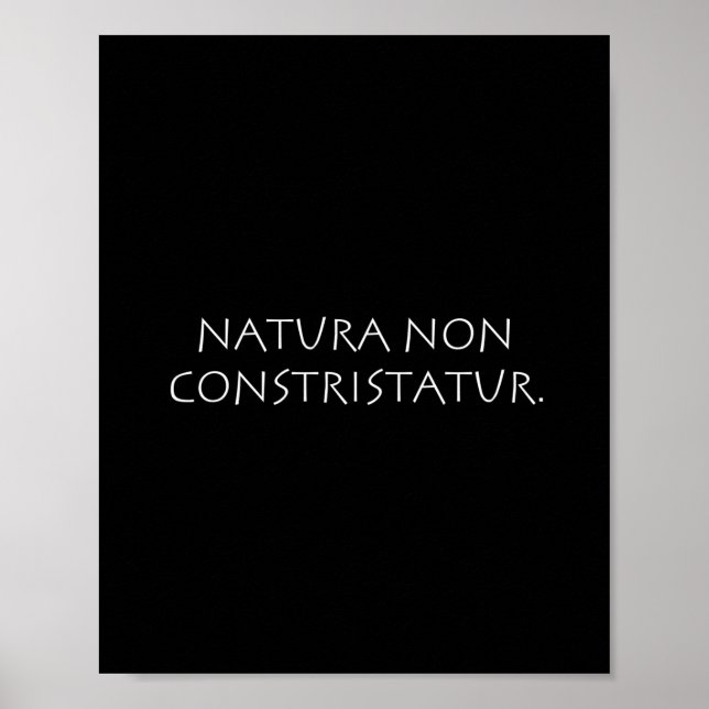 Affiche Natura non constristatur (Devant)