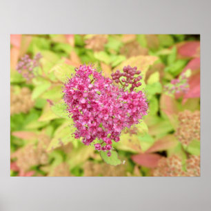 Affiche Natural Flower Heart - percé par la flèche.