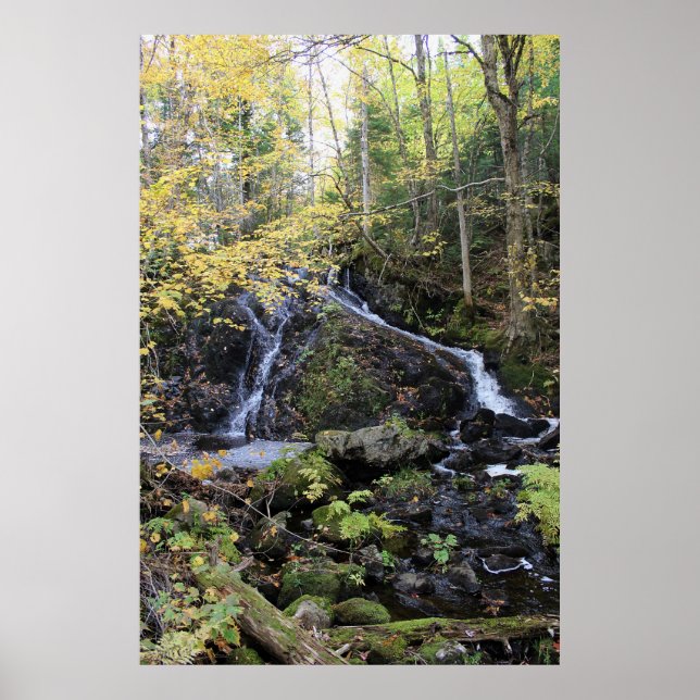 Affiche Nature (Devant)