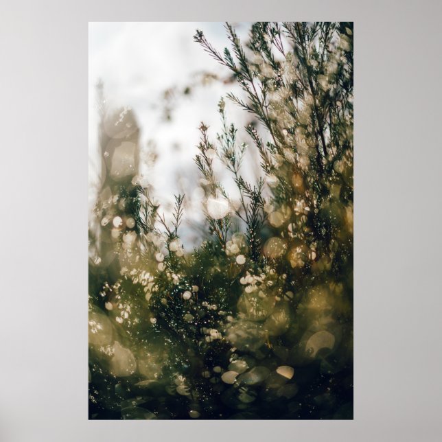 AFFICHE NATURE (Devant)
