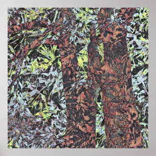 Affiche Nature