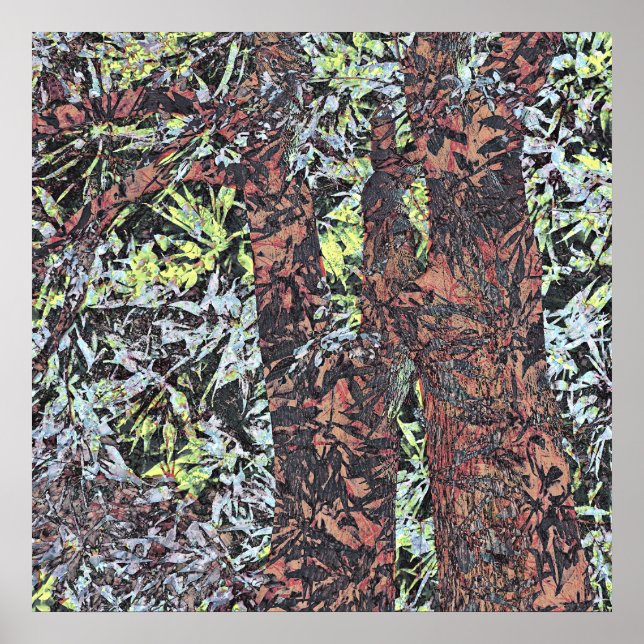Affiche Nature (Devant)
