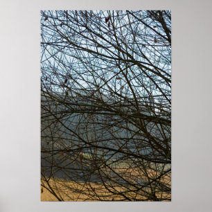 Affiche Nature Abstraite