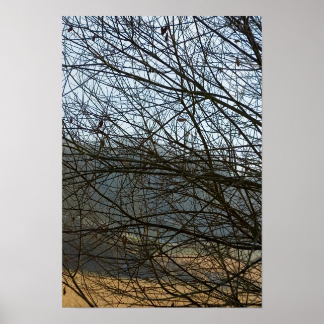 Affiche Nature Abstraite (Devant)