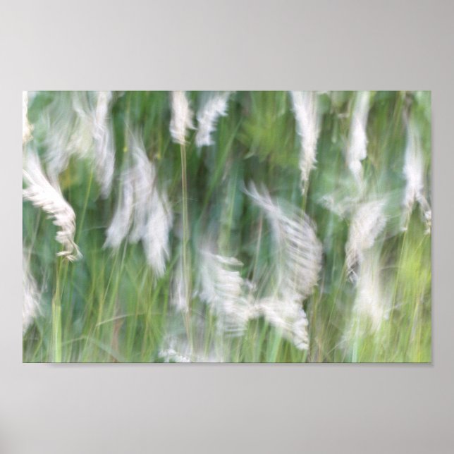 Affiche Nature Abstraite de l'herbe de mouvement flou (Devant)