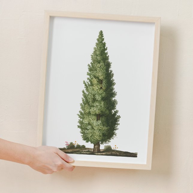 Affiche Nature Chêne Arbre Bois Nourriture Décor (Nature Oak Tree Woodland Nursery Decor)