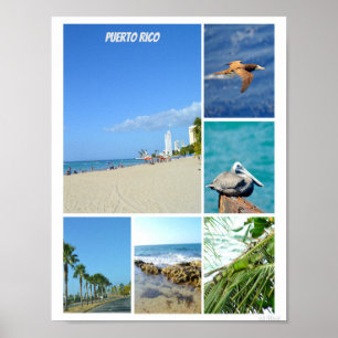 Affiche Nature collage of San Juan, Porto Rico