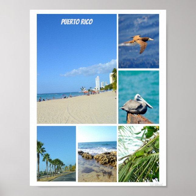 Affiche Nature collage of San Juan, Porto Rico (Devant)