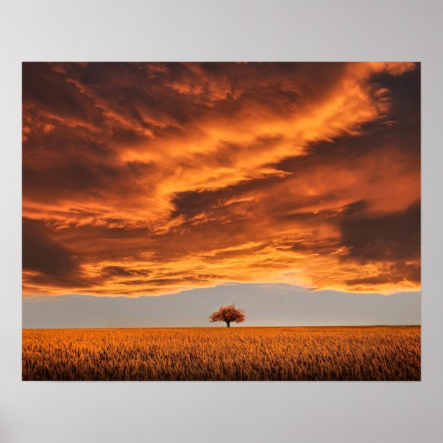Affiche nature des arbres solitaires paysage abstrait (Devant)