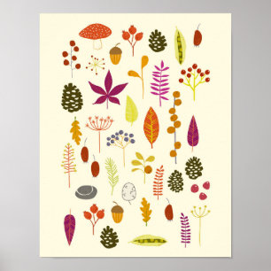 Affiche Nature des bois