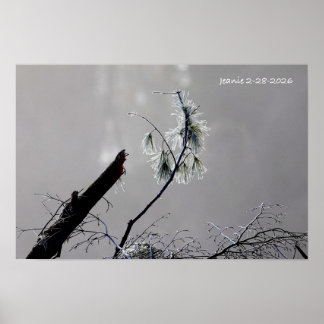 Affiche Nature en hiver