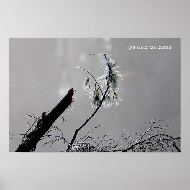 Affiche Nature en hiver (Devant)