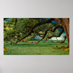 Affiche Nature feuillage de feuillage