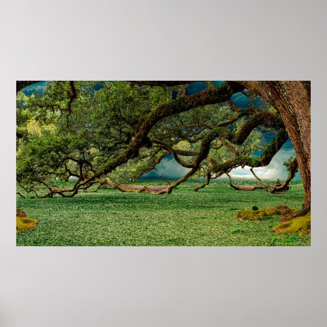 Affiche Nature feuillage de feuillage (Devant)
