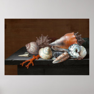 Affiche Nature morte avec coquillages Johann Jakob Dietz