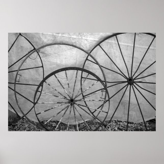 Affiche Nature morte de roue de chariot (Devant)