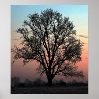 Affiche Nature ou culture ?