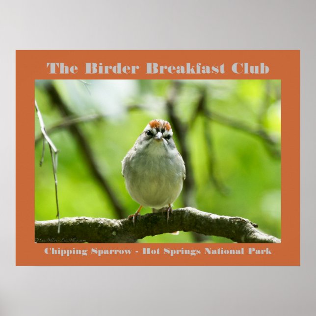 Affiche Nature Photographie Chipping Sparrow Birder (Devant)