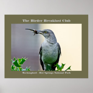 Affiche Nature Photography Mockingbird Birder
