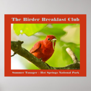 Affiche Nature Photography Summer Tanager Birder
