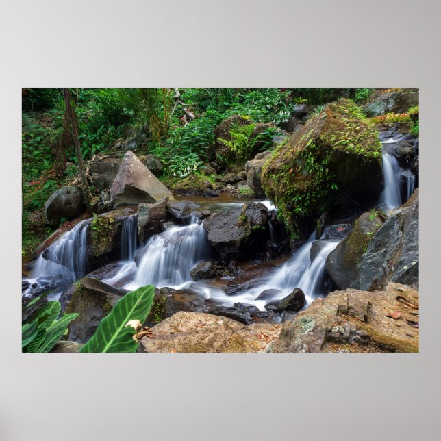 Affiche Nature's Bliss (Devant)