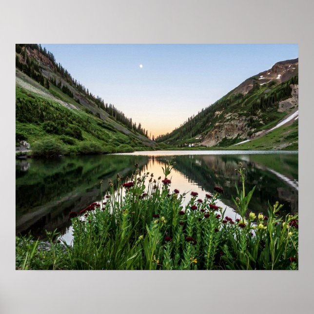 Affiche Natures Bouquet // Avant-plan Floral (Devant)