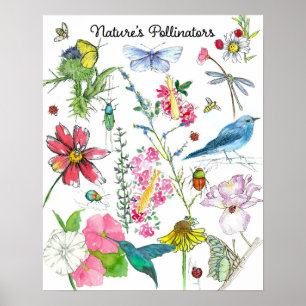 Affiche Natures Pollinateurs Oiseaux d'abeilles Insectes F