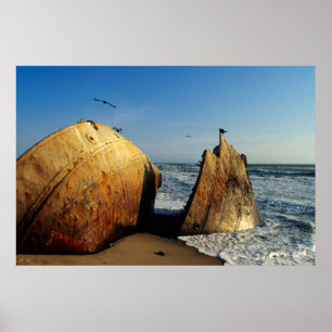 Affiche Naufrage sur la plage, Skeleton Coast, Namibie