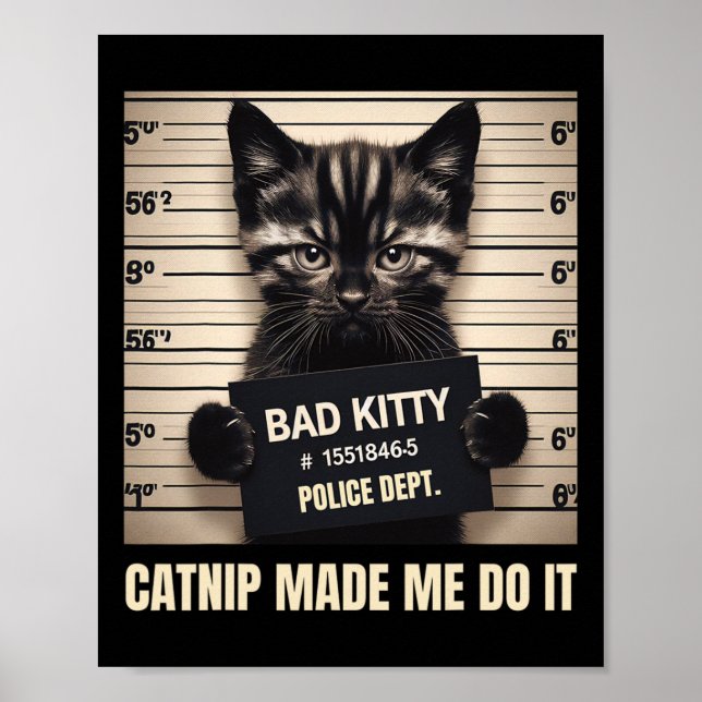 Affiche Naughty Kitty Prison Photo Catnip M'a fait faire C (Devant)