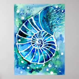 Affiche Nautile Turquoise