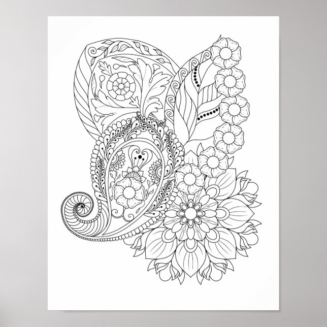 Affiche Nautilus Fleurs Spirales Feuilles Mandala Colorati (Devant)