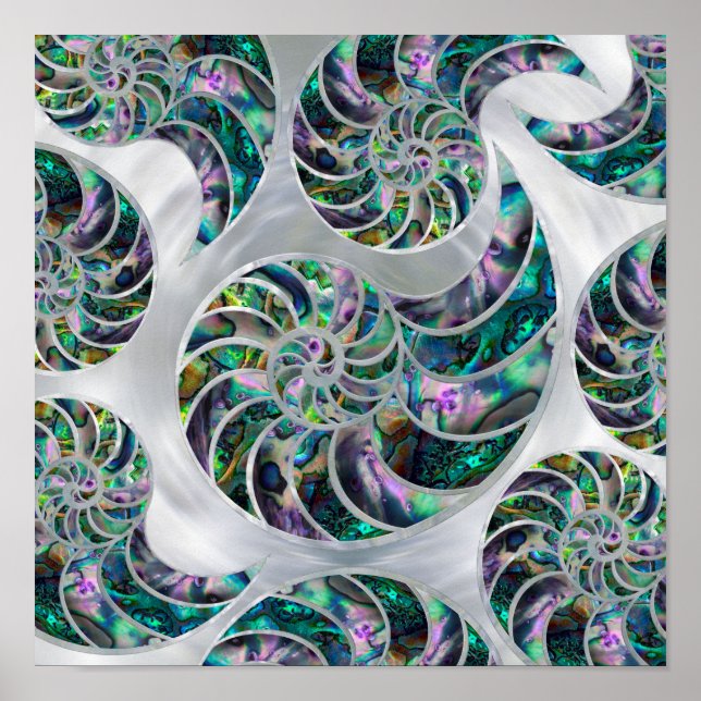 Affiche Nautilus Shell Abalone et Pearl (Devant)