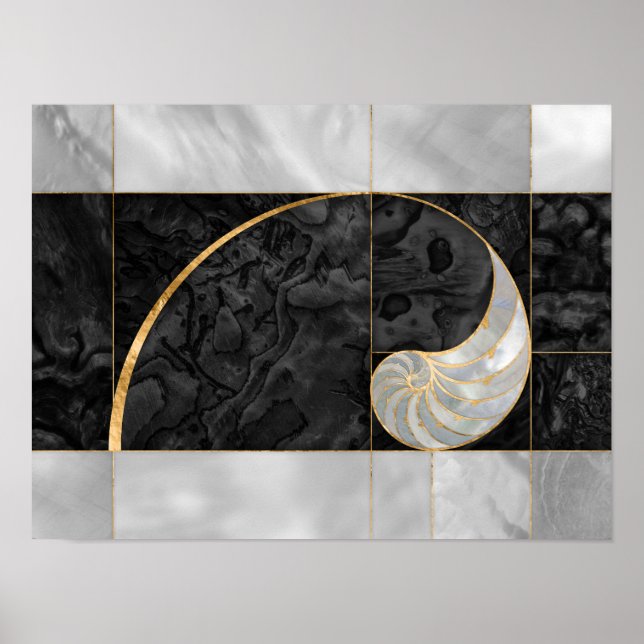 Affiche Nautilus Shell - Black Abalone and Pearl (Devant)