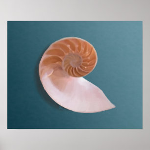 Affiche Nautilus Shell on Ocean Blue Fine Art Print