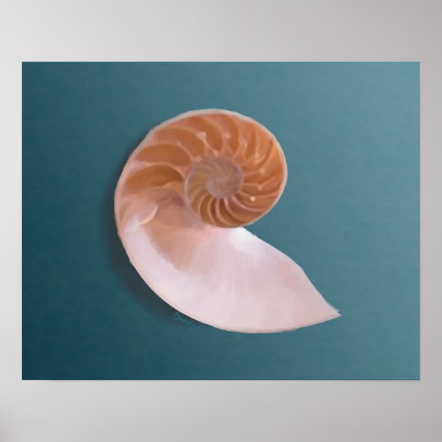 Affiche Nautilus Shell on Ocean Blue Fine Art Print (Devant)