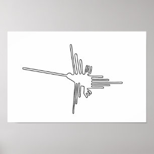 Affiche Nazca Pérou oiseau ancien géoglyphe symbole mystèr