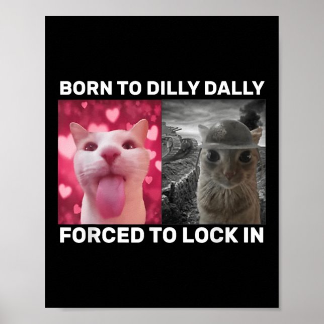 Affiche Né À Dilly Dally Obligé De Verrouiller Dans Le Mèm (Devant)