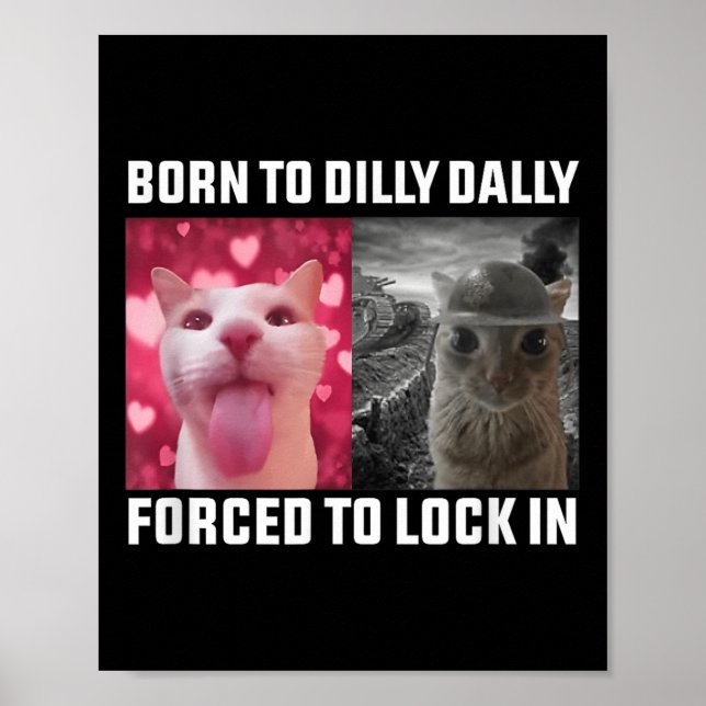 Affiche Né À Dilly Dally Obligé De Verrouiller Dans Les Mè (Devant)