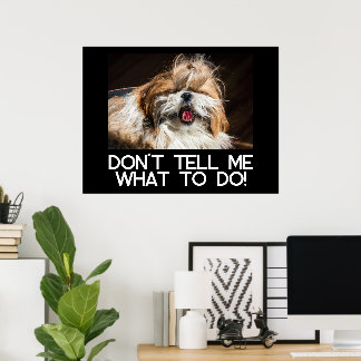 Affiche Ne dites pas à un shih tzu ce qu'il doit faire, c'