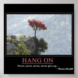 Affiche Ne jamais abandonner