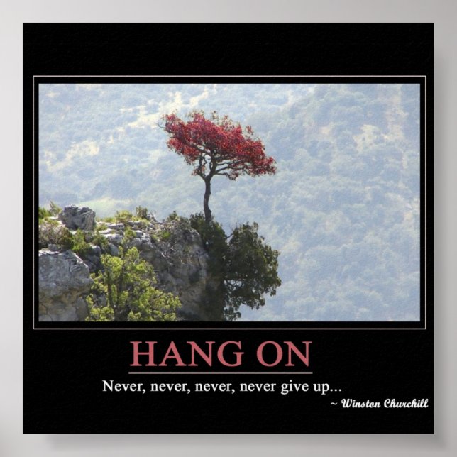 Affiche Ne jamais abandonner (Devant)