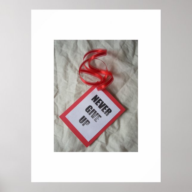 Affiche Ne jamais abandonner l'affiche (Devant)