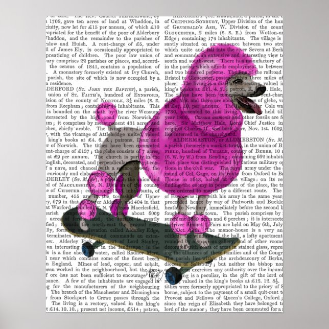 Affiche Ne jamais combattre avec des cochons (Devant)