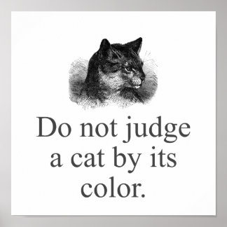 Affiche Ne Jugez Pas Un Chat