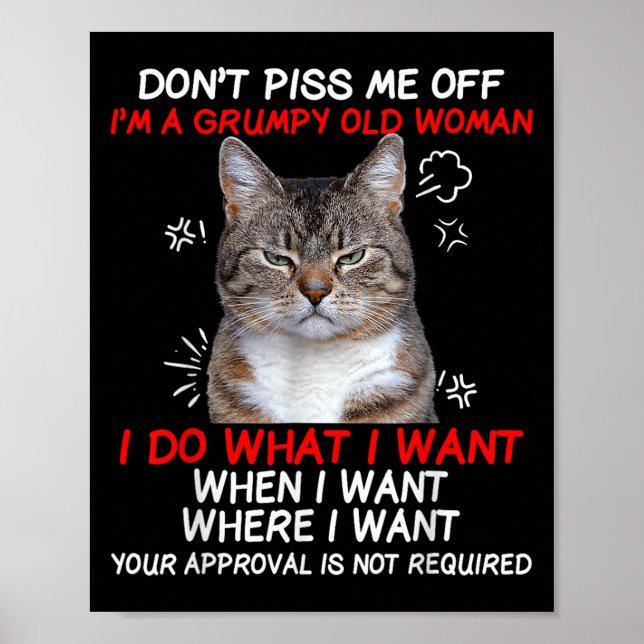Affiche Ne m'en fais pas Je suis une vieille dame. Je fais (Devant)
