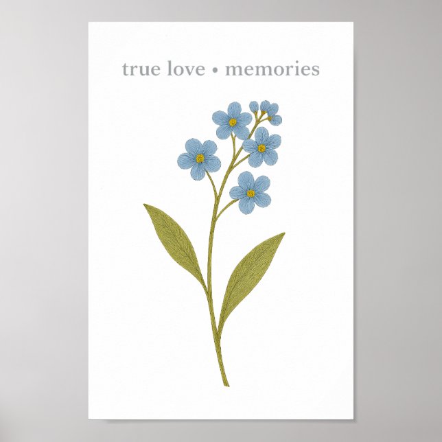 Affiche Ne m'oubliez pas — Amour vrai, souvenirs  (Devant)